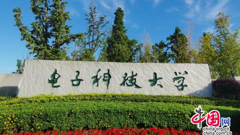 电子元件安装步骤解析：从原理到实践